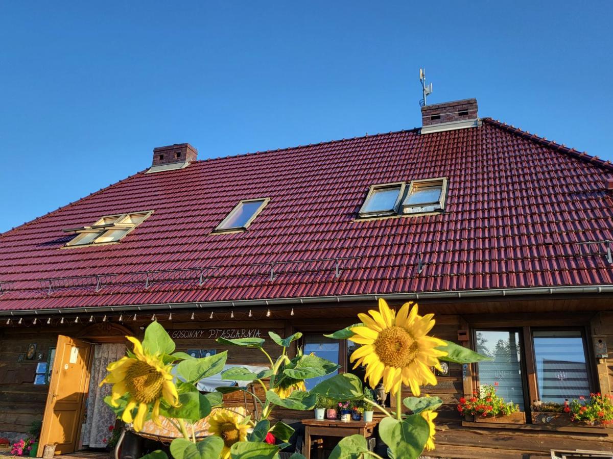 Dom Goscinny Ptaszarnia - Natura-Free Parking Свиноуйсьце Экстерьер фото