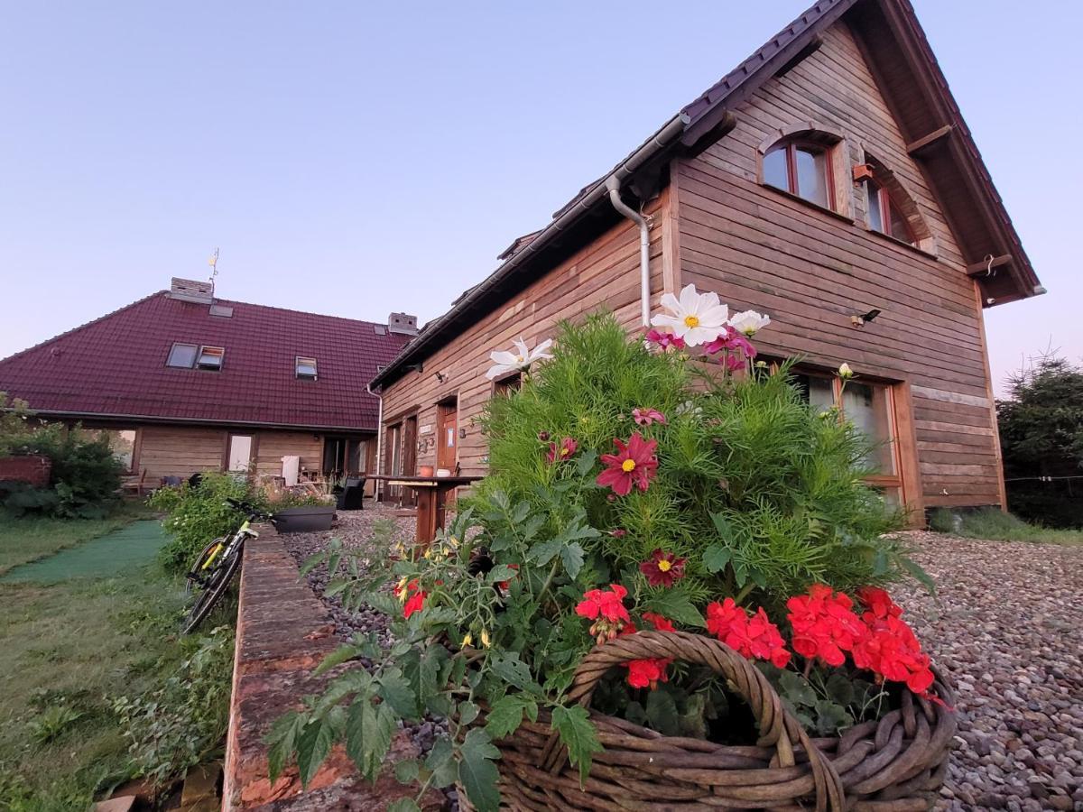 Dom Goscinny Ptaszarnia - Natura-Free Parking Свиноуйсьце Экстерьер фото
